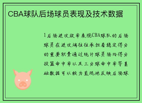 CBA球队后场球员表现及技术数据